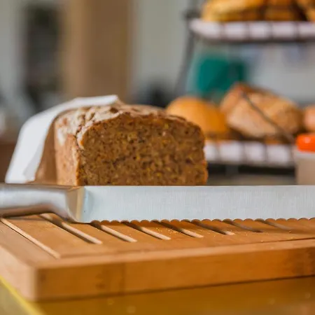 Luis Stadl Ratisbonne